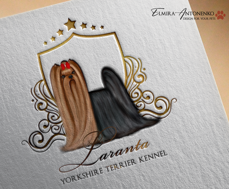 Laranta — Labaza DogPedigree YorkshireTerrier